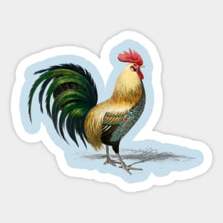 Rooster Sticker